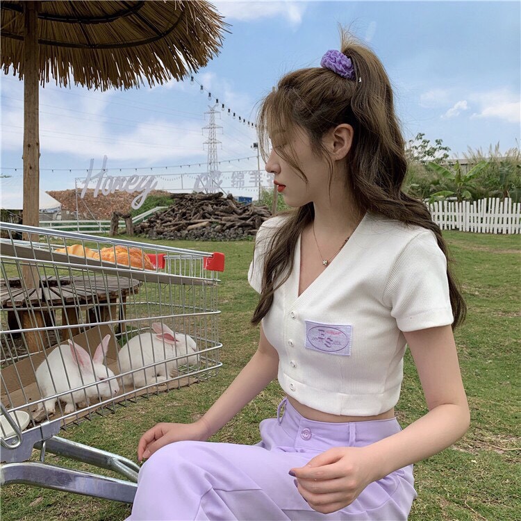 [HCM]Áo Croptop cổ V