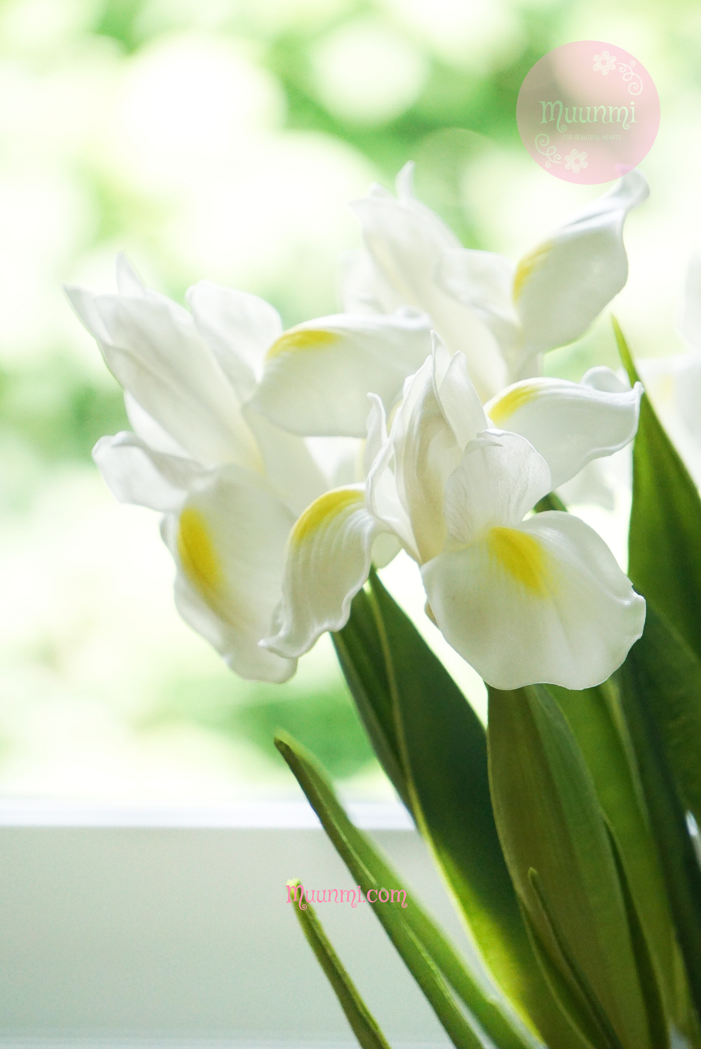 Hoa lụa 🌸 | Hoa DIÊN VĨ đẹp nhẹ nhàng thanh nhã ( 2 màu Vàng + Trắng)