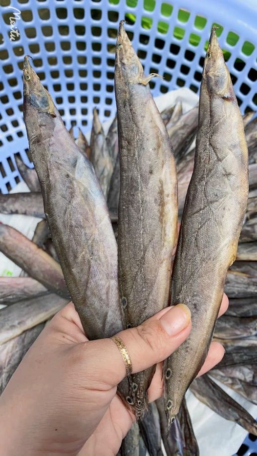 Khô cá chạch đồng hàng tươi ngon chất lượng,gia vị vưa ăn không mặn, khô thoại sơn