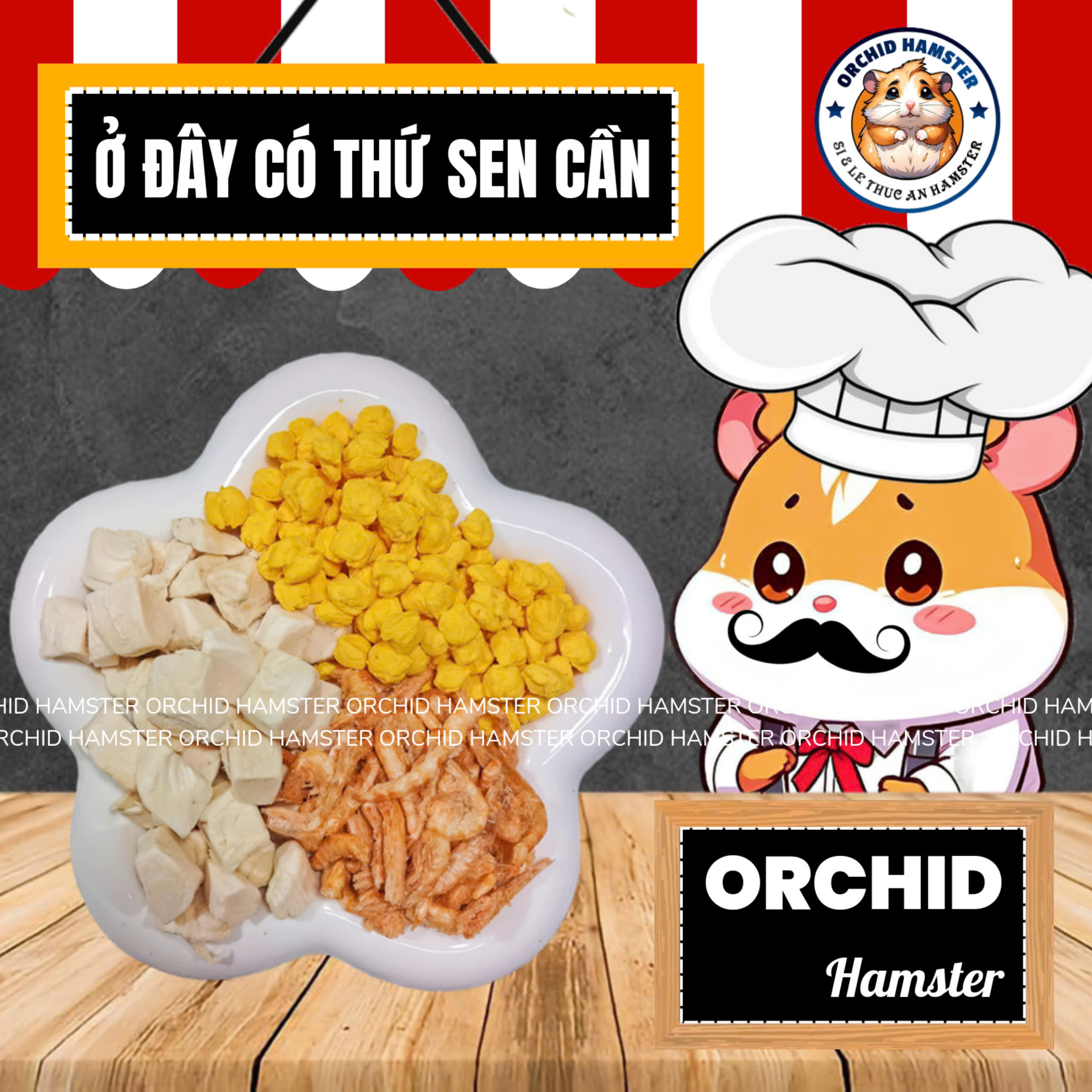 Đại Bửu Dinh Dưỡng Cho Hamster /Sóc/Nhím Và Thú Nhỏ