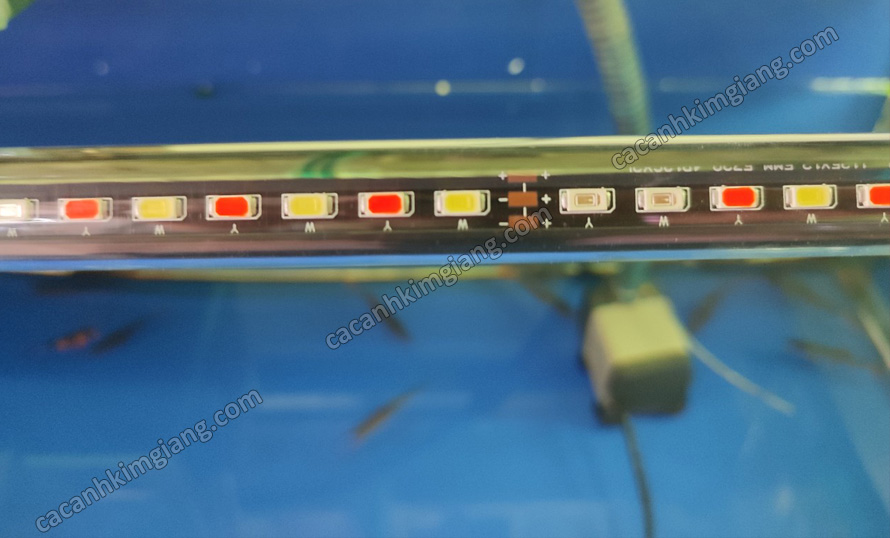 Đèn Led chìm 120cm 100cm 80cm 3 chế độ màu
