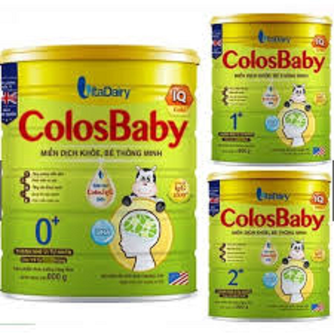 Sữa COLOSBABY IQ Gold 2+ 800G (trẻ từ 2 tuổi trở lên)