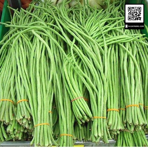Deal 1K Hạt giống đậu đũa (đậu dải áo)