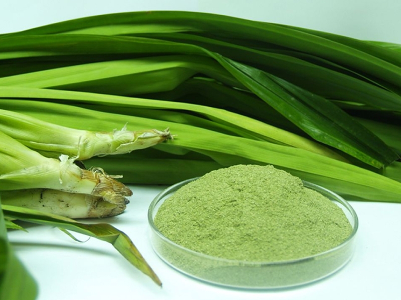 [HCM]250g Bột Lá Dứa sấy lạnh nguyên chất