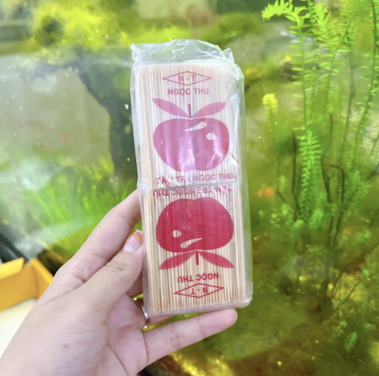 Combo 10 bịch tăm tre xỉa răng Ngọc thu cao cấp