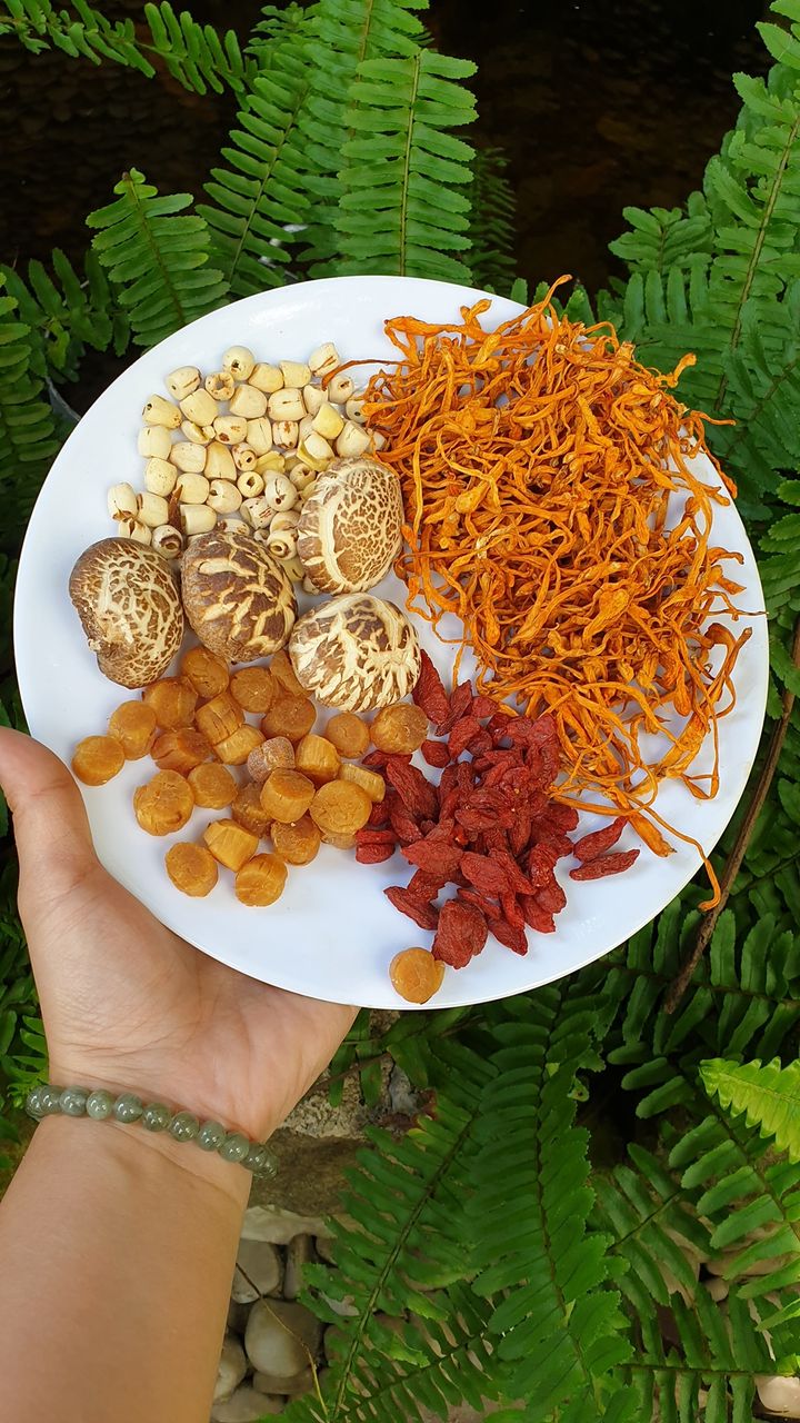 [HCM]set canh cồi điệp bông trùng thảo ( có cồi điệp thật )
