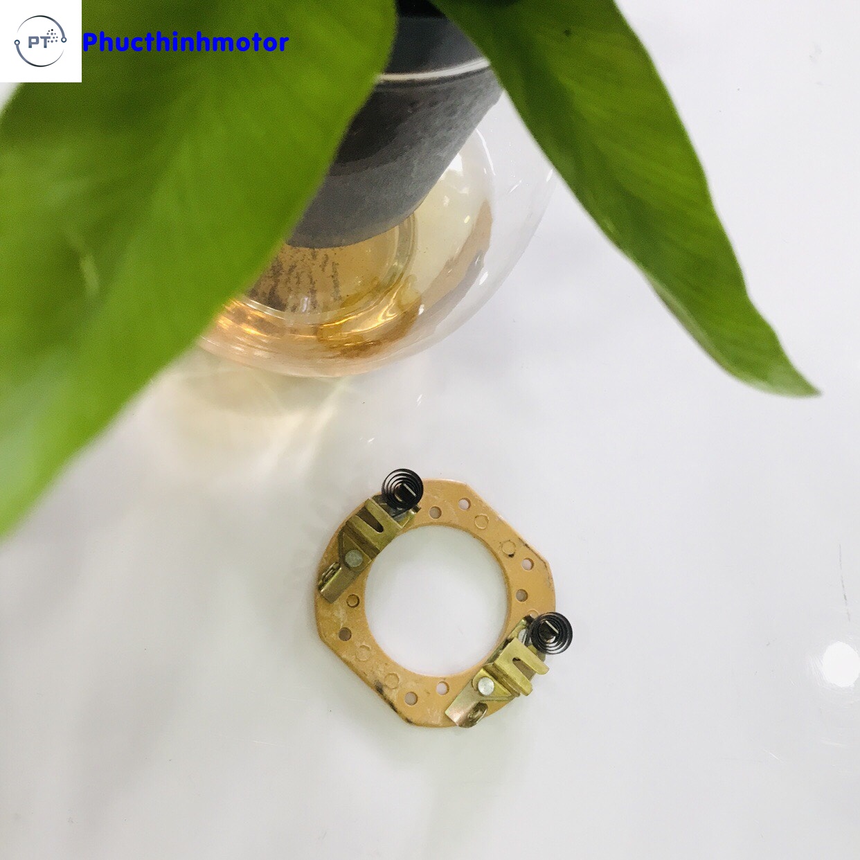 Giá đỡ và chổi than motor