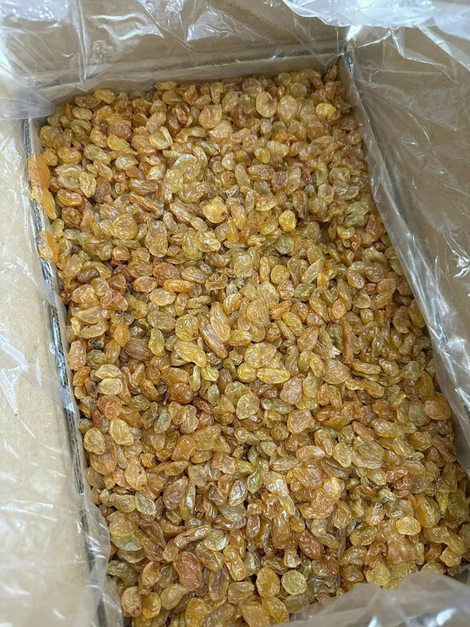 Nho Khô Loại 1
