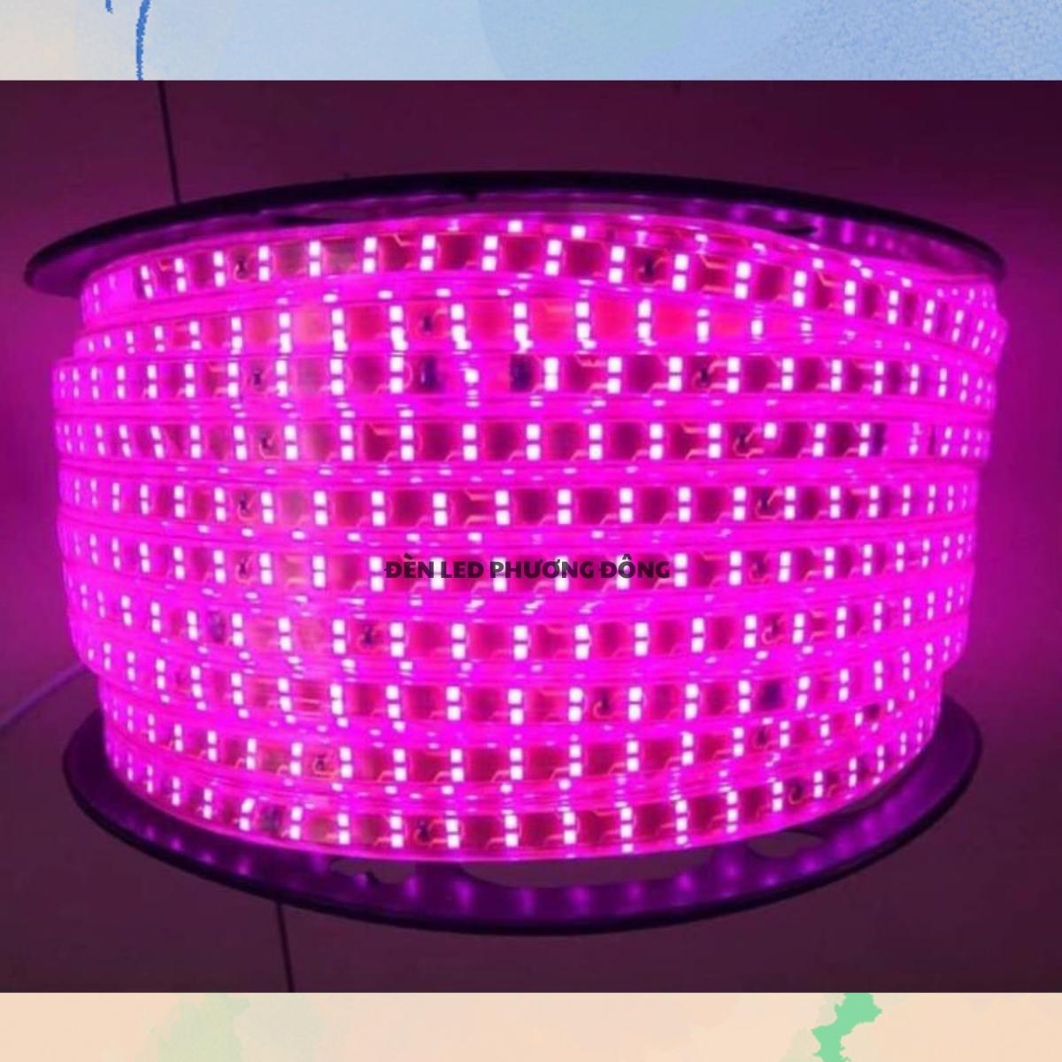 Cuộn 100m LED Dây đôi 2835 - 2 hàng bóng siêu sáng