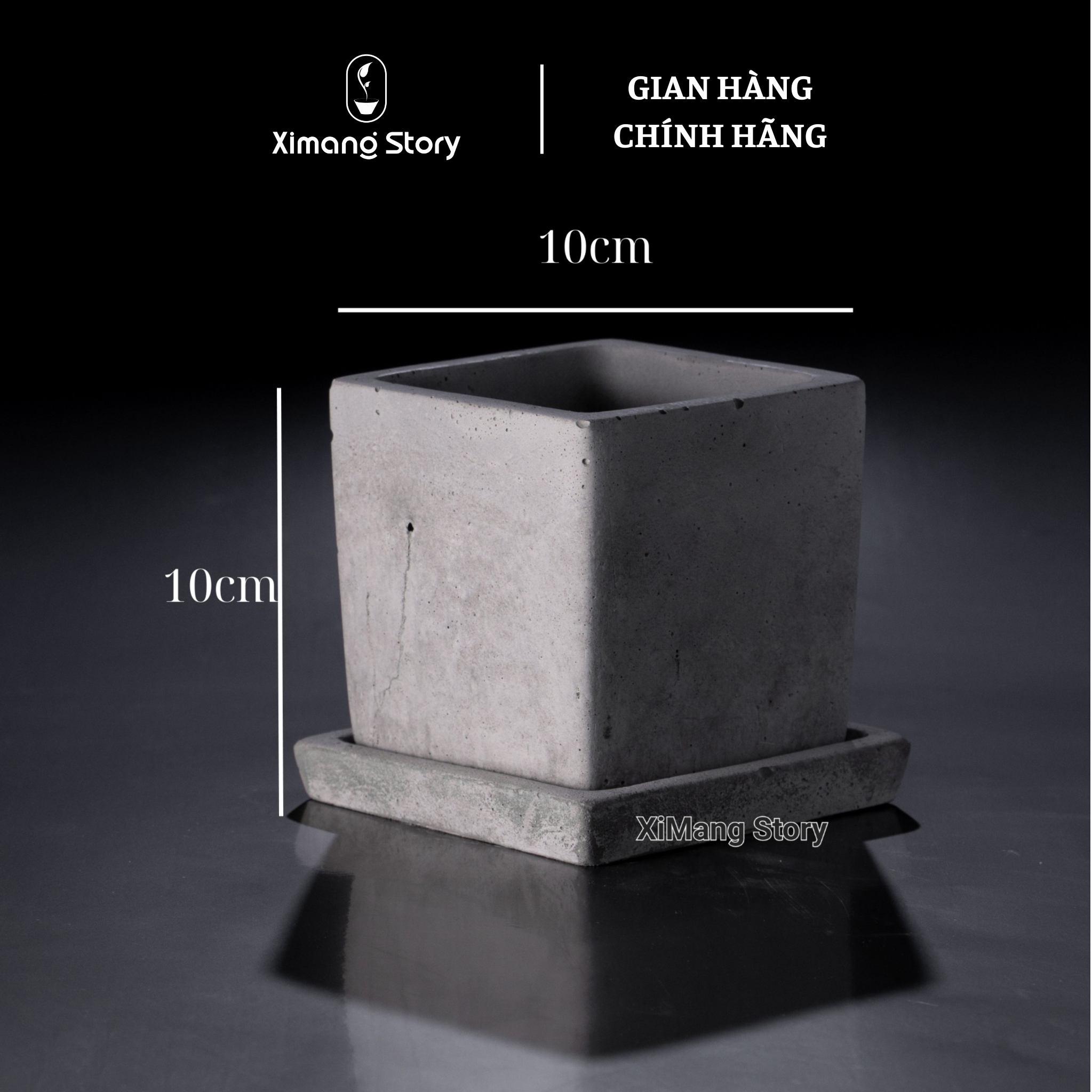 Tặng kèm đĩa lót chậu - Chậu Xi Măng Dáng Vuông