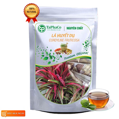 Lá huyết dụ sấy khô 500g - Thảo Dược Tấn Phát