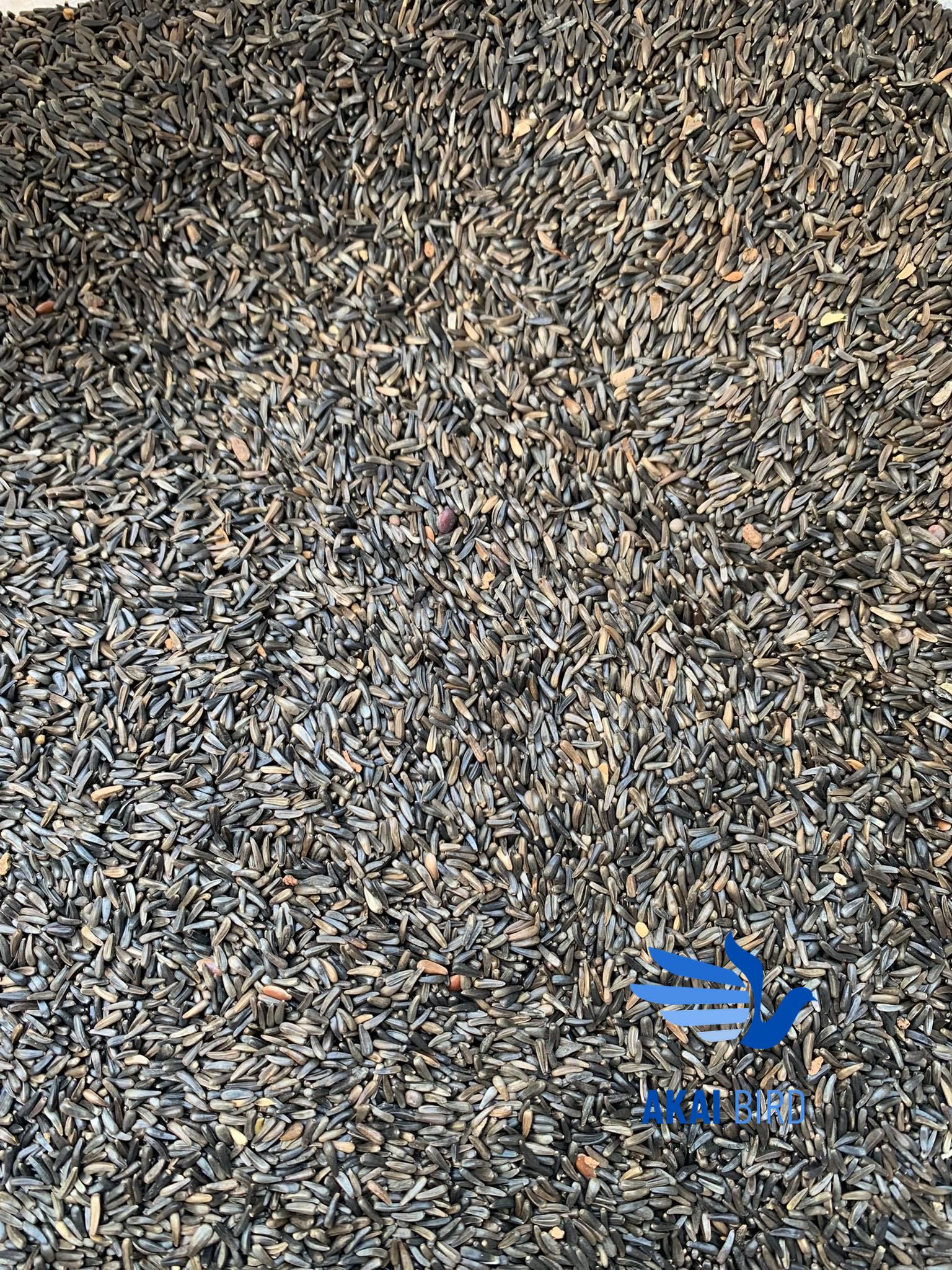 [1KG] Hạt Niger Dành Cho Vẹt, Yến Hót, Chim Cảnh....
