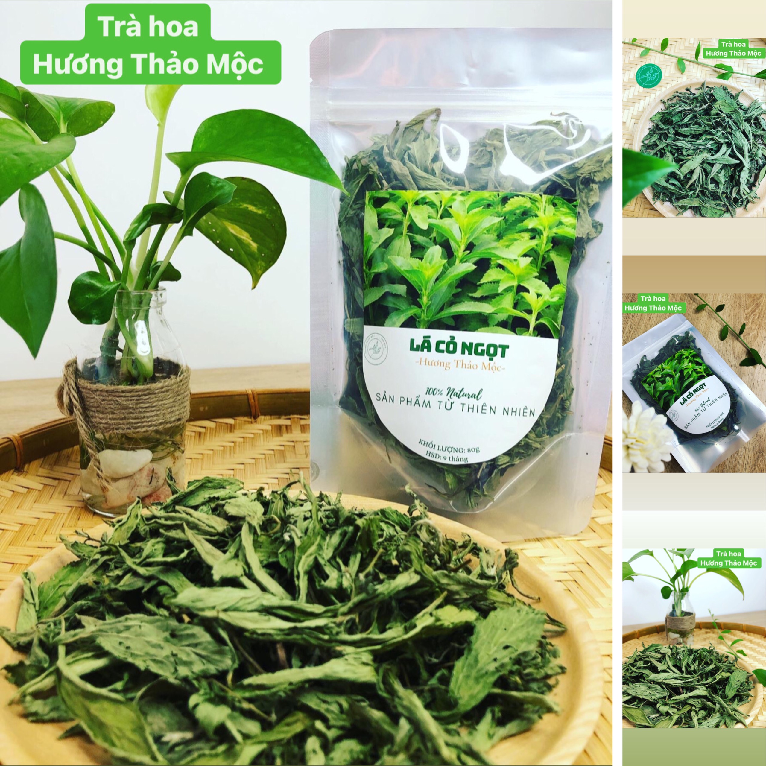 Trà Cỏ Ngọt (Nguyên lá) - Hương Thảo Mộc Trà Hoa
