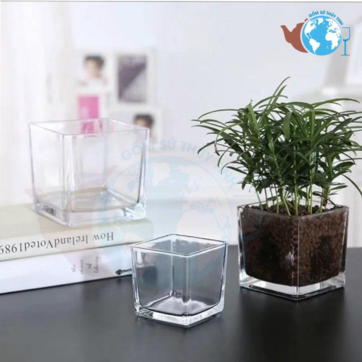 [HCM]Hồ cá vuông 10 cm x 10 cm