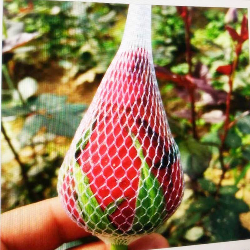 0.5kg TÚI LƯỚI ĐỰNG PHÂN DÊ, PHÂN TAN CHẬM
