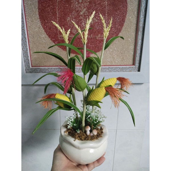 Chậu bắp đất sét mẫu để bàn