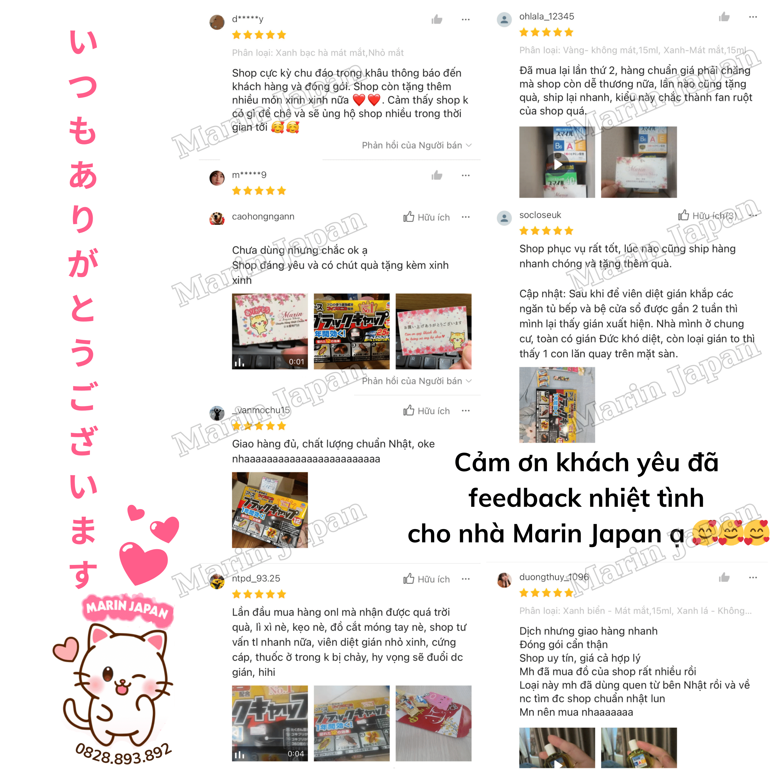 Hộp 12 Viên Diệt Gián Chuẩn Nhật Bản