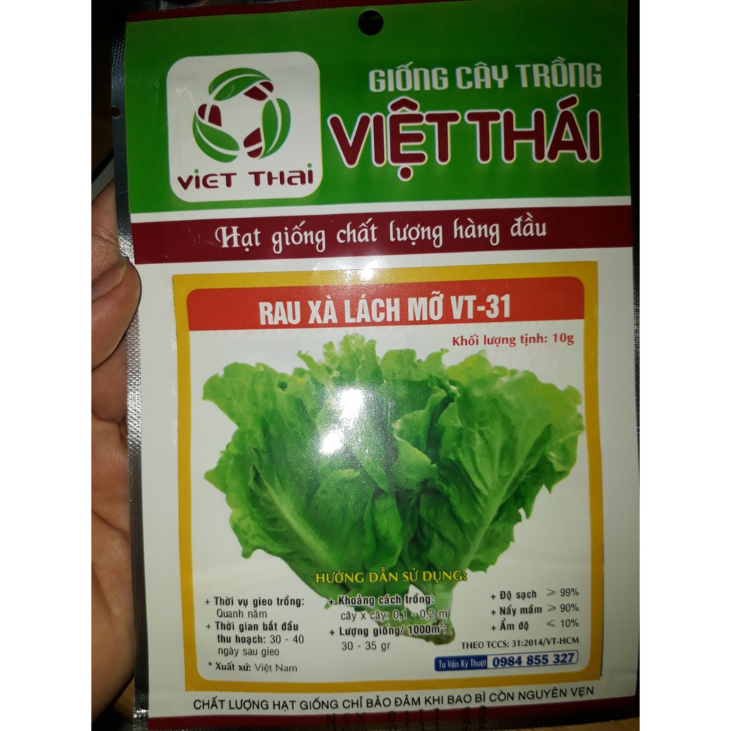 [Seeds] Hạt giống xà lách mỡ, đóng gói 5gr-10gr