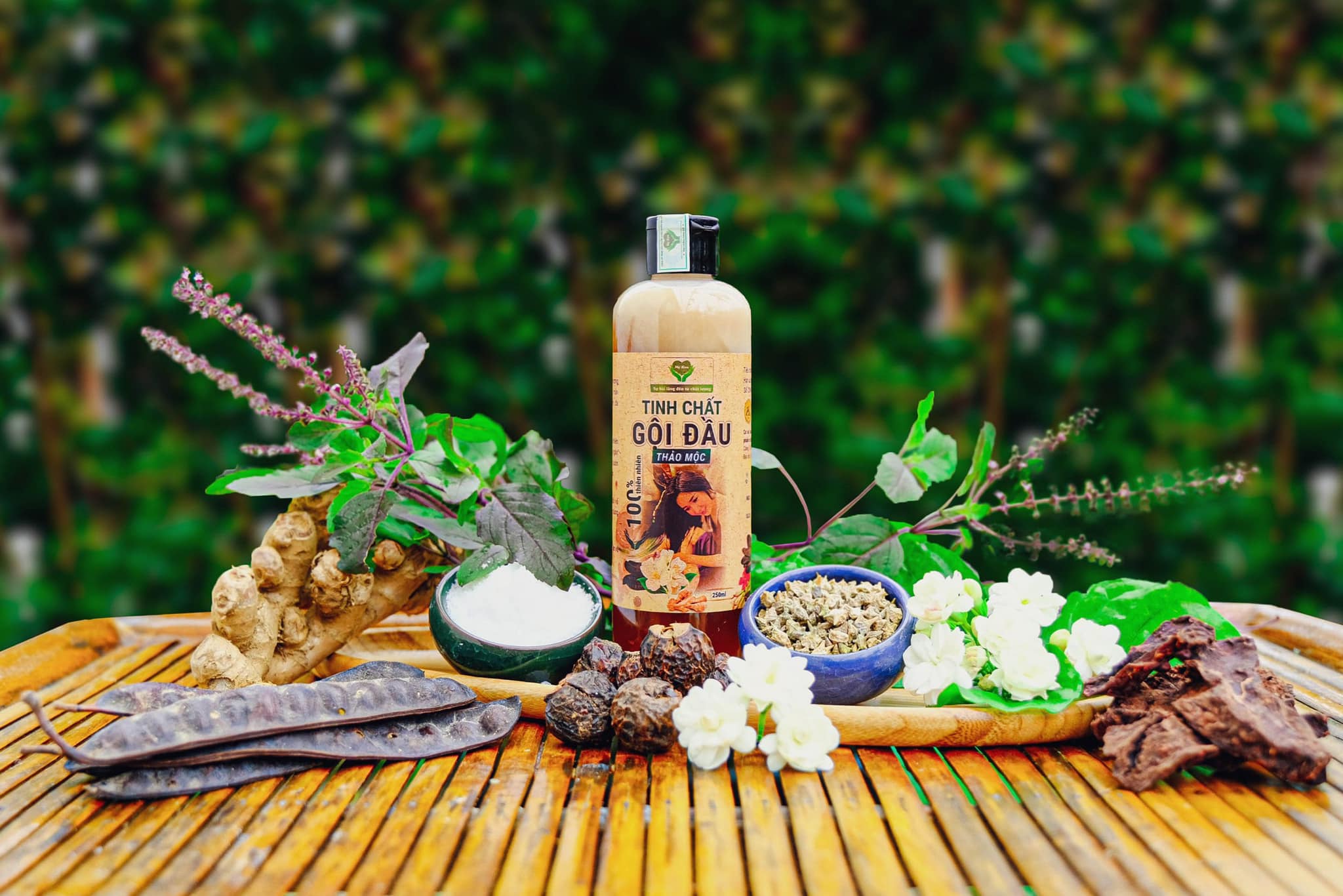 TINH CHẤT GỘI ĐẦU THẢO MỘC MẸ KEN (250ml)
