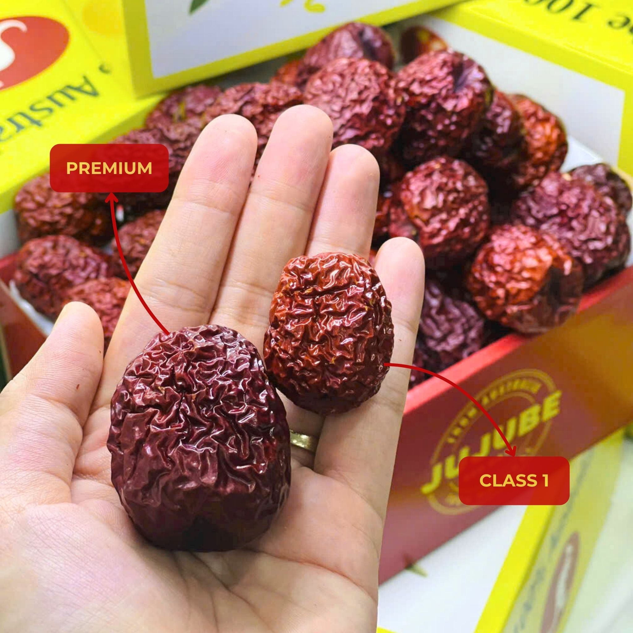 Táo đỏ khô Úc nhập khẩu cao cấp 500g - Jujube Australia 100%