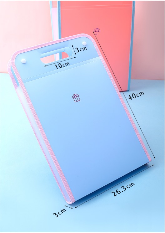 FREESHIP Túi đựng hồ sơ tài liệu 13 ngăn ( Khổ A4 ) dùng đa năng và tiện lợi, Túi đựng tài liệu nhiều ngăn tiện lợi với 13 ngăn ( giao màu ngẫu nhiên )