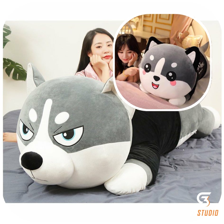 Chó Bông Husky Mèo Bông Husky