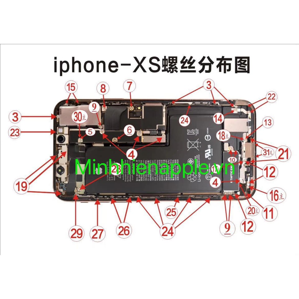 Ốc đuôi I.P.H.O.N.E X XS XS Max đủ màu, 1 cặp