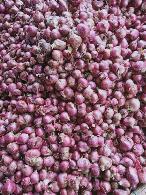 Hành củ tím chuẩn vị hành 1kg