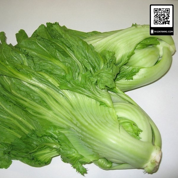 [DEAL 1K TRỒNG THỬ] - 100 hạt giống cải bẹ Đông Dư, cải bẹ muối dưa