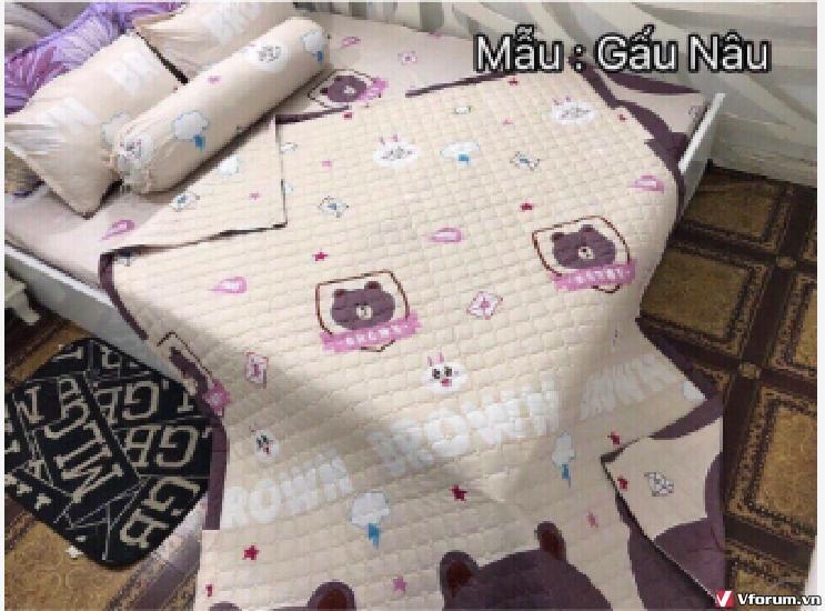 Chăn hè thu chần bông vi tính - Gấu nâu