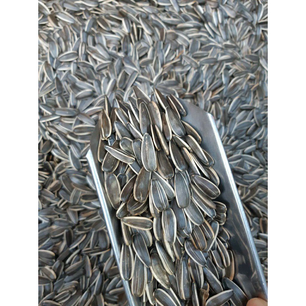 [HCM]Hạt hướng dương rang tay [ túi 100g ]