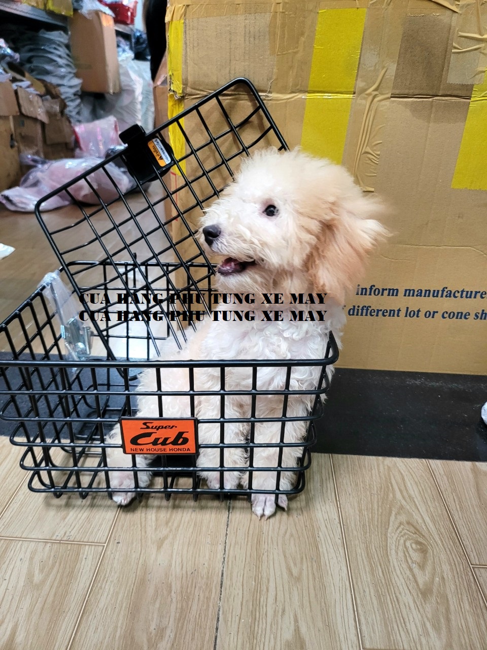 Rổ trước xe Cub có nắp đậy