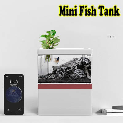 Bể cá thủy sinh mini trang trí bàn làm việc
