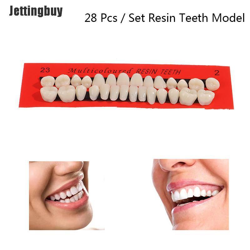 Jettingbuy 28Pcs/Set Resin Teeth Teaching Model Universal False Teeth Dental Material Teeth