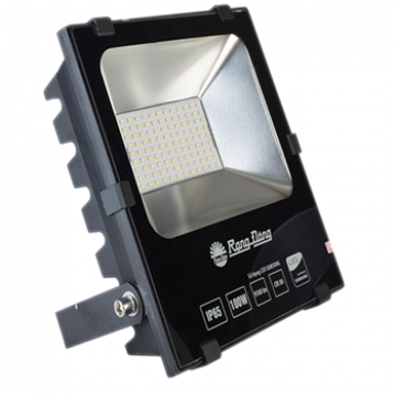 Đèn LED chiếu pha Rạng Đông DCP06L/10W