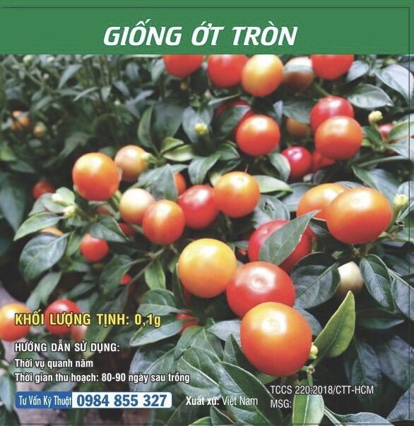 [SALE] Giống ớt tròn - HGVT1
