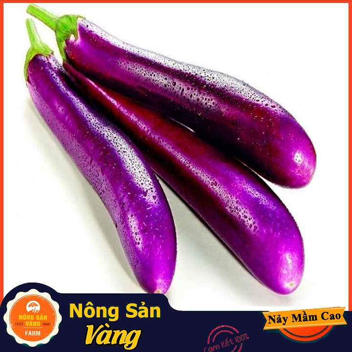 Long heart lilac seeds (1 gram package)-shallow yellow