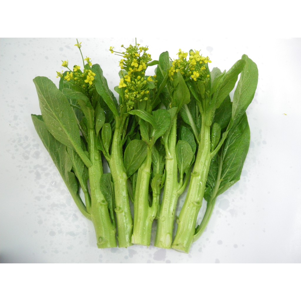 20G - Hạt Giống Cải ngọt Ăn Bông