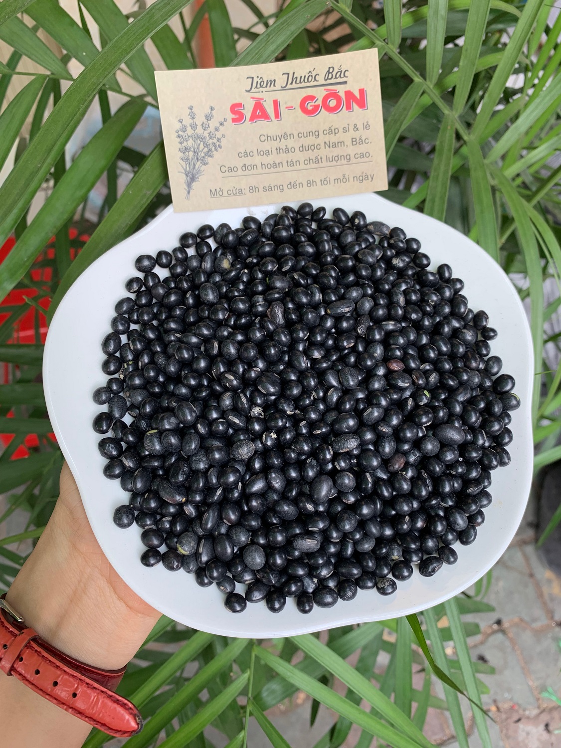 [HCM]Đậu Đen Xanh Lòng Đã Rang Thơm Hạt To Tròn 500g