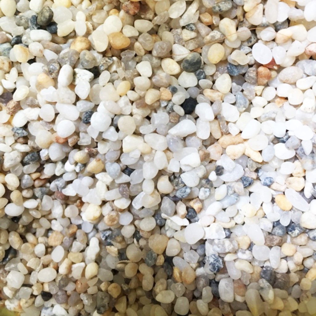 Sỏi Biển Thiên Nhiên 1kg - Sỏi Biển Trang Trí Hồ Cá, Lót Chậu, Sân Vườn Thủy Sinh