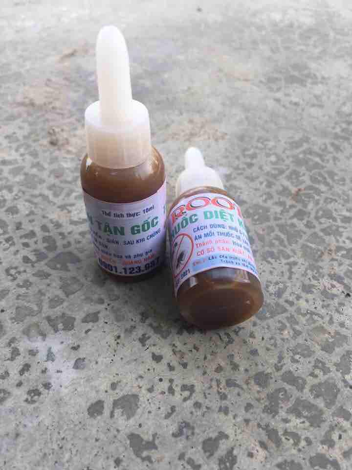 Thuốc Diệt Kiến Gián Sinh Học 2023