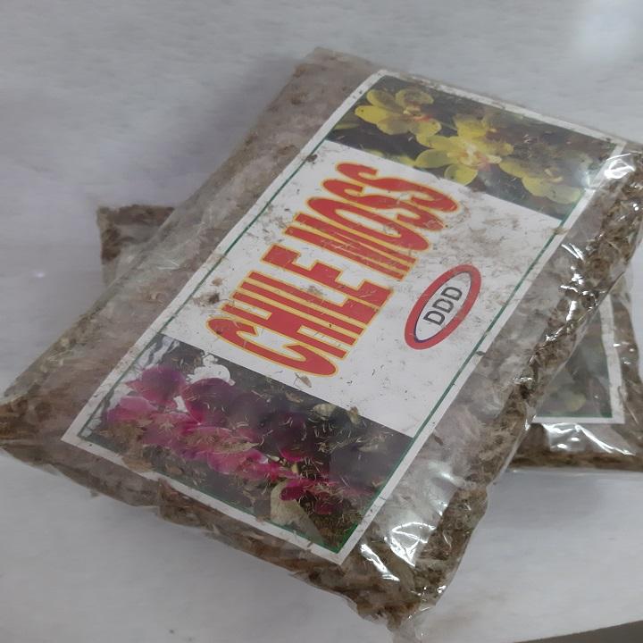 [HCM]Dớn chile giữ ẩm cho lan - gói 100 gram