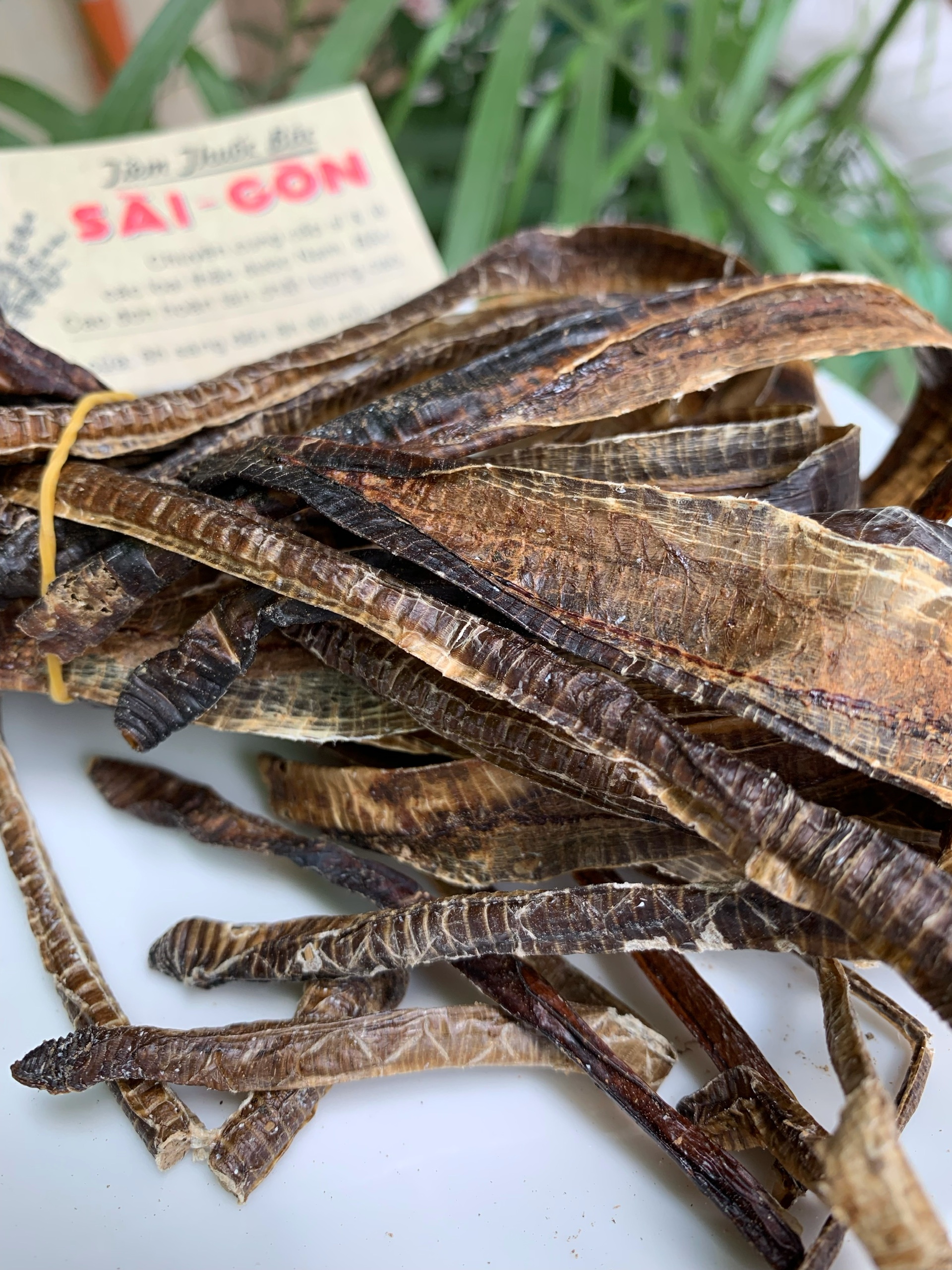 [HCM]Địa Long Khô Sạch Đẹp 100g