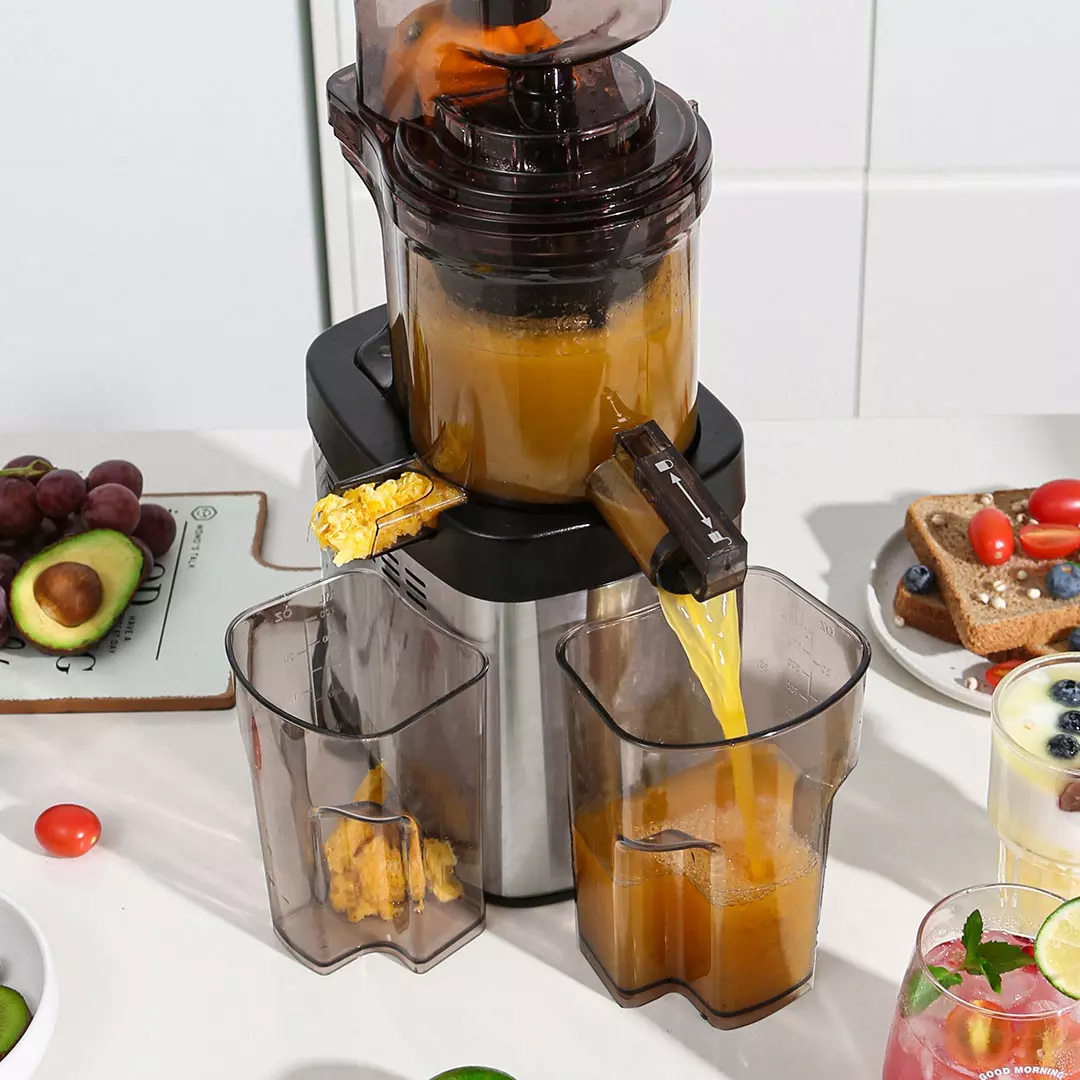 Máy ép chậm trái cây BUD BJ36