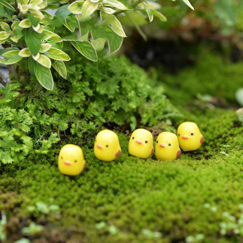 Mô hình gà con mini | Phụ kiện tiểu cảnh sen đá - Terrarium