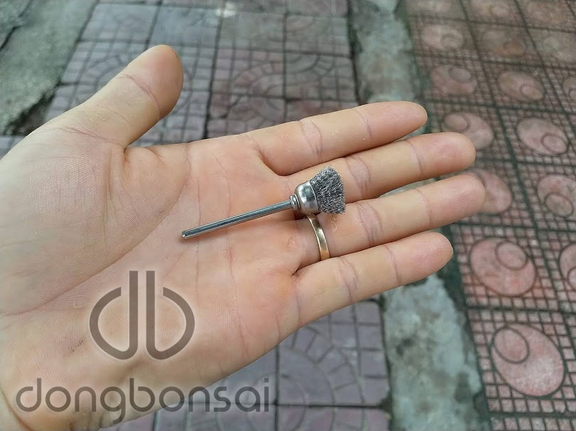 Mũi chổi kẽm vệ sinh hoàn thiện lũa bonsai MCK3.15