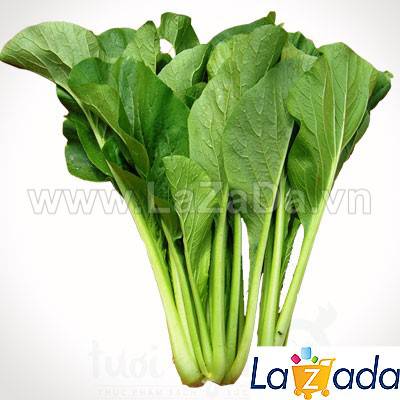 20Gr Hạt Giống Cải Ngọt (A3.301| G1*W24*M121)