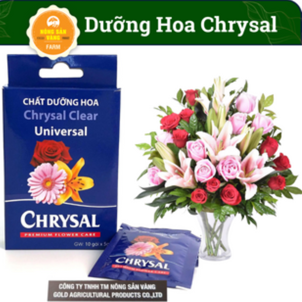 Nursing long flower ashtray Chrysal-help us plug vase fresh longer -shallow gold