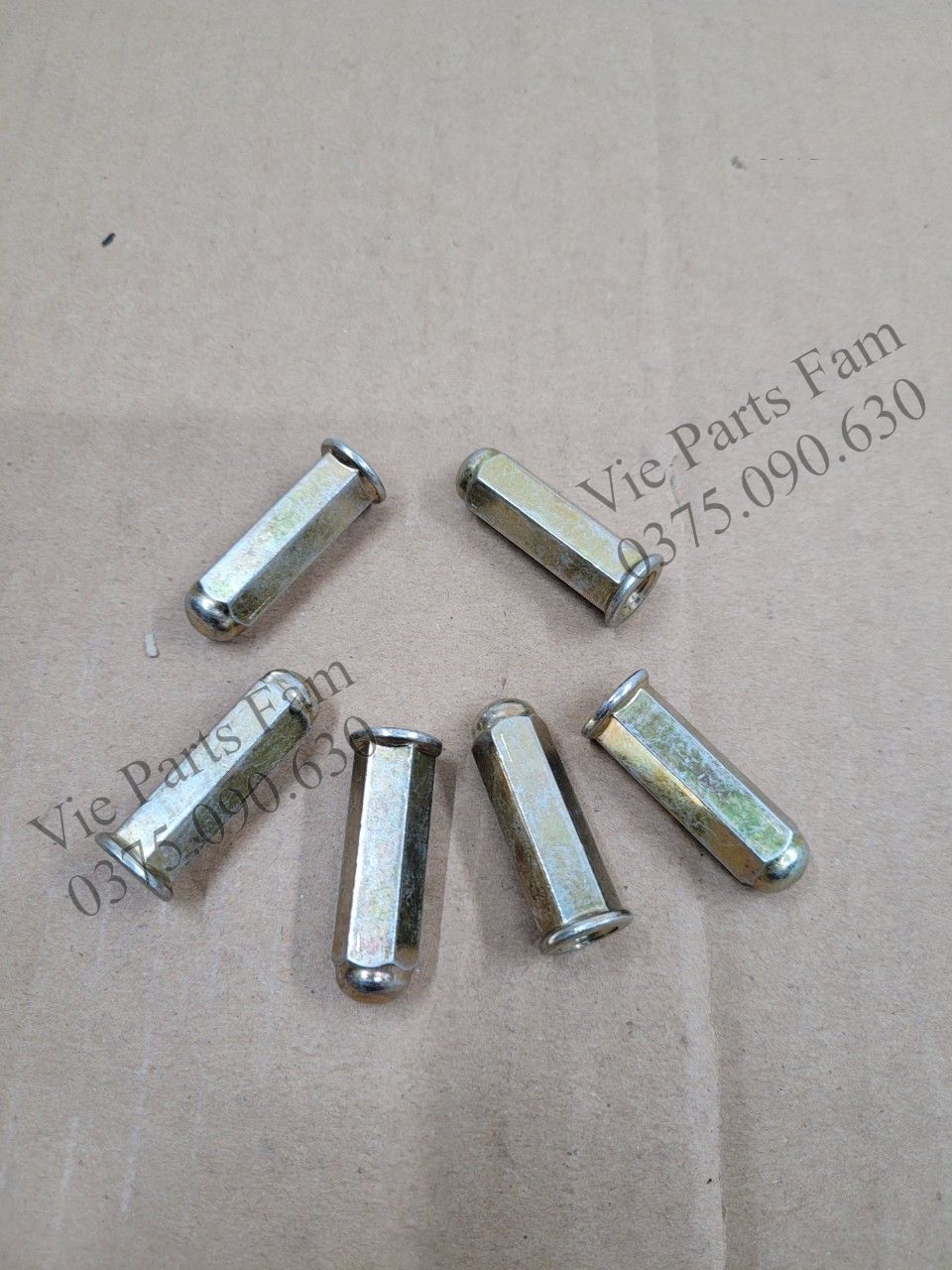 Ốc cổ bô attila sym