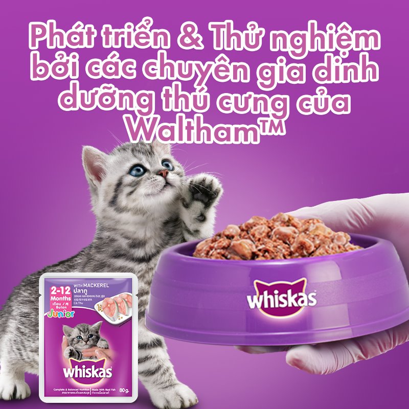 Pate mèo - pate Whiskas đủ vị - 85g/gói